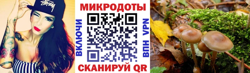 Галлюциногенные грибы мицелий  Каспийск 